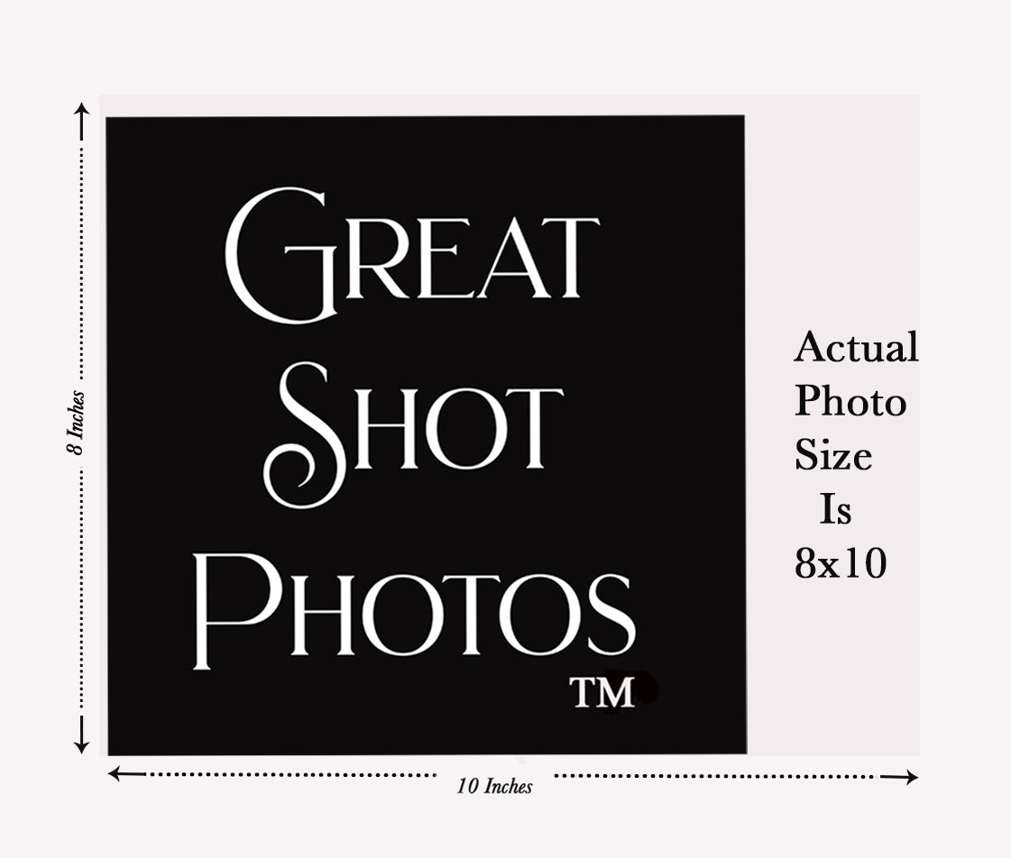 Jaxson Dart & Cam Skattebo New York Giants End Zone Celebration 8x10 Photo Poster