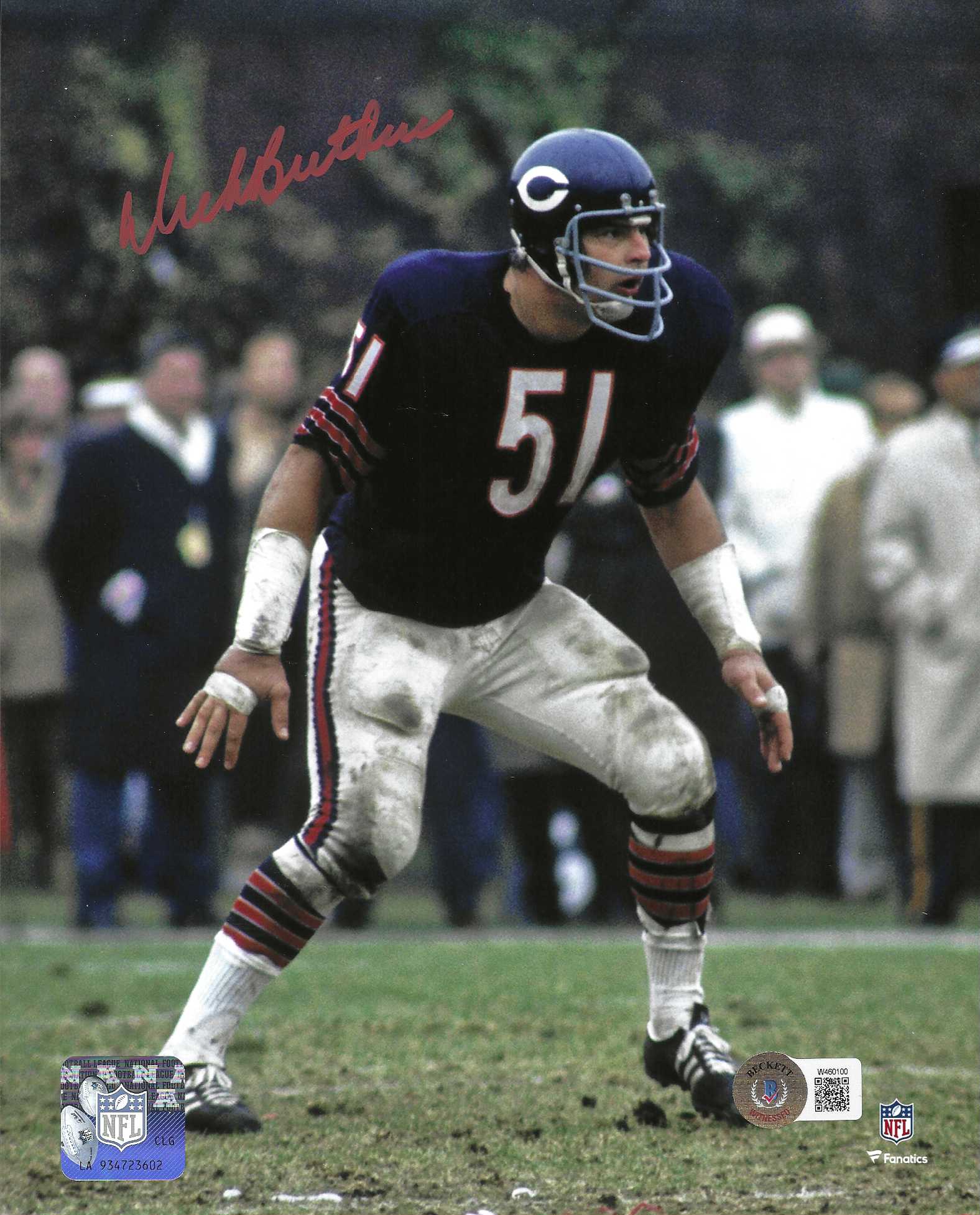 Dick Butkus 1971 Chicago Bears HOF 8X10 Photo -   Ireland