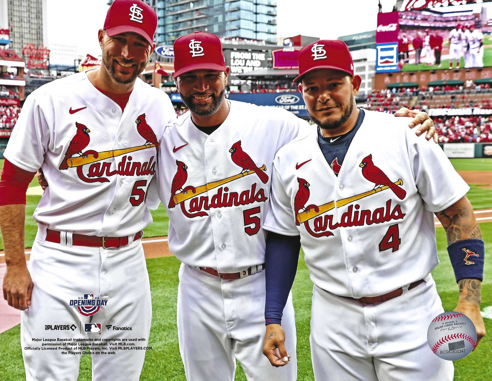 Adam Wainwright, Albert Pujols & Yadier Molina St. Louis Cardinals Small  Canvas