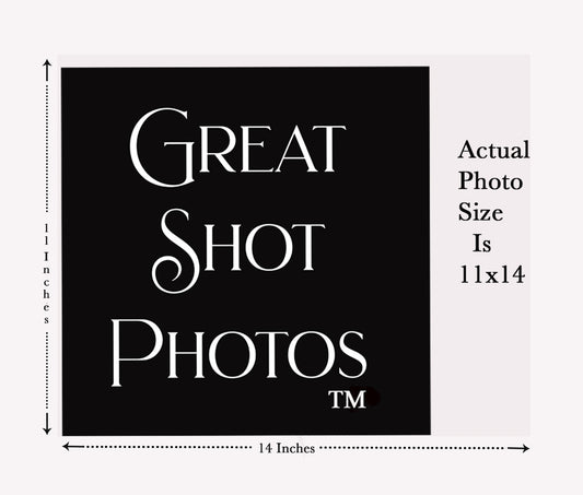 St. Louis Cardinals Adam Wainwright, Albert Pujols & Yadier Molina On Opening Day 2022 11x14 Photo Picture