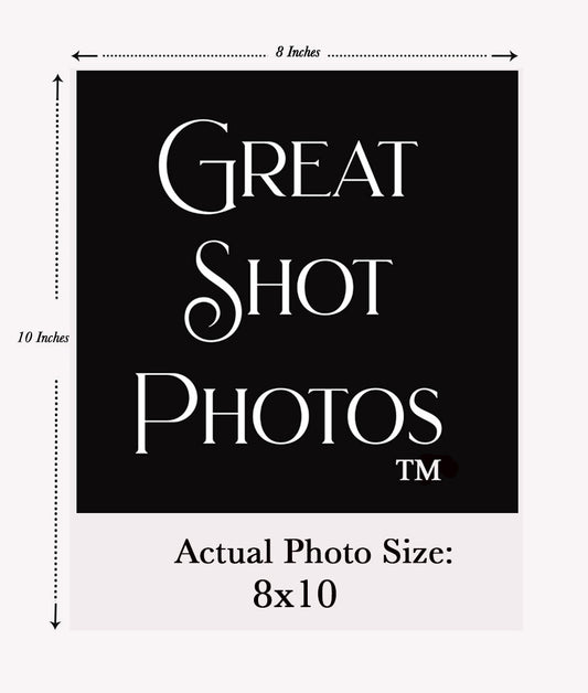 The Boston Celtics Larry Bird & The Los Angels Lakers Magic Johnson Under The Boards. 8x10 Photo