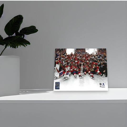 Florida Panthers Celebrate The 2024 Stanley Cup Victory 8x10 Photo Poster