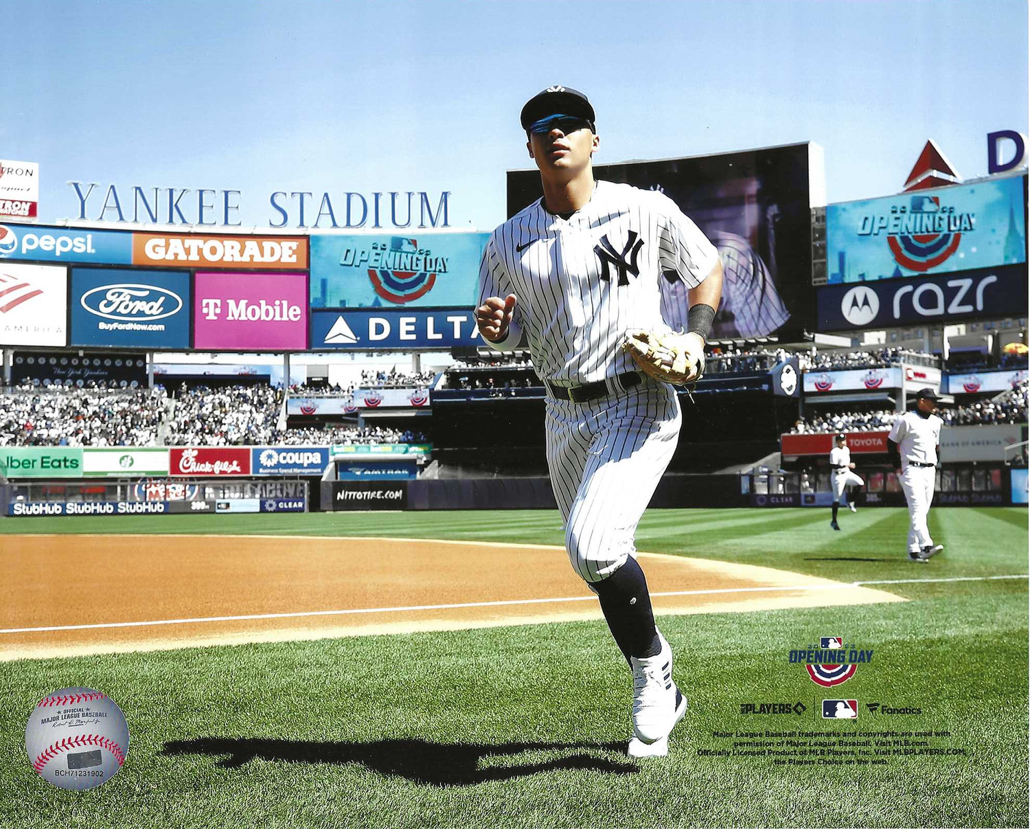 New York Yankees Antony Volpe Takes The Field On Opening Day 2023 8x10 Photo Picture