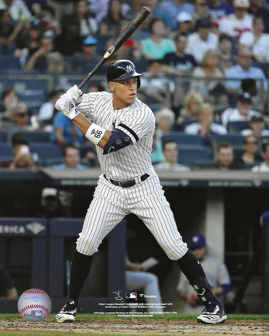 New York Yankees Arron Judge Slugger at the plate 8x10 Photo Picture