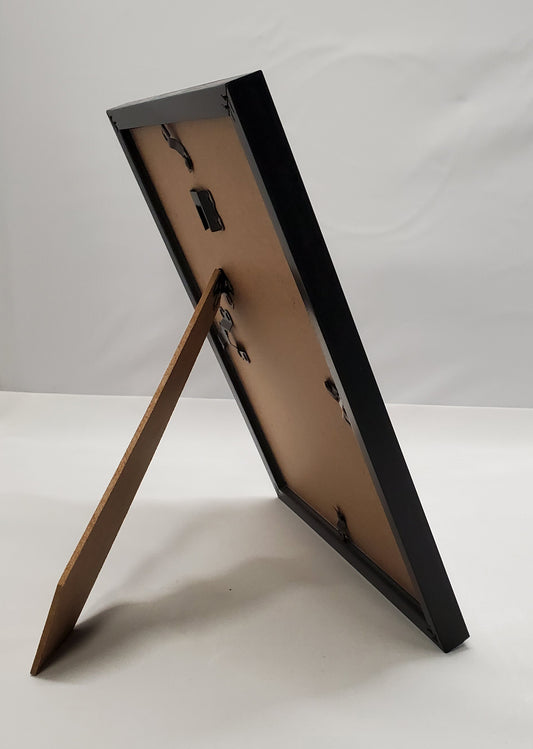 New York Yankees Arron Judge Hits Home Run 62, Commemorative Framed 8x10 Photo Picture