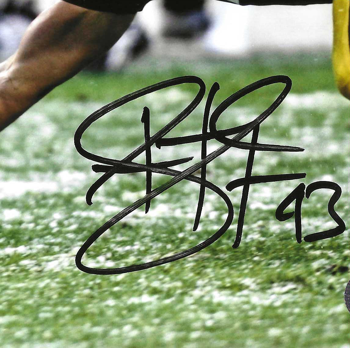 Pittsburgh Steelers Troy Polamalu Action Authentic Autograph 8x10 Photo Picture